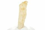 Gemmy Imperial Topaz Crystal - Zambia #231328-1